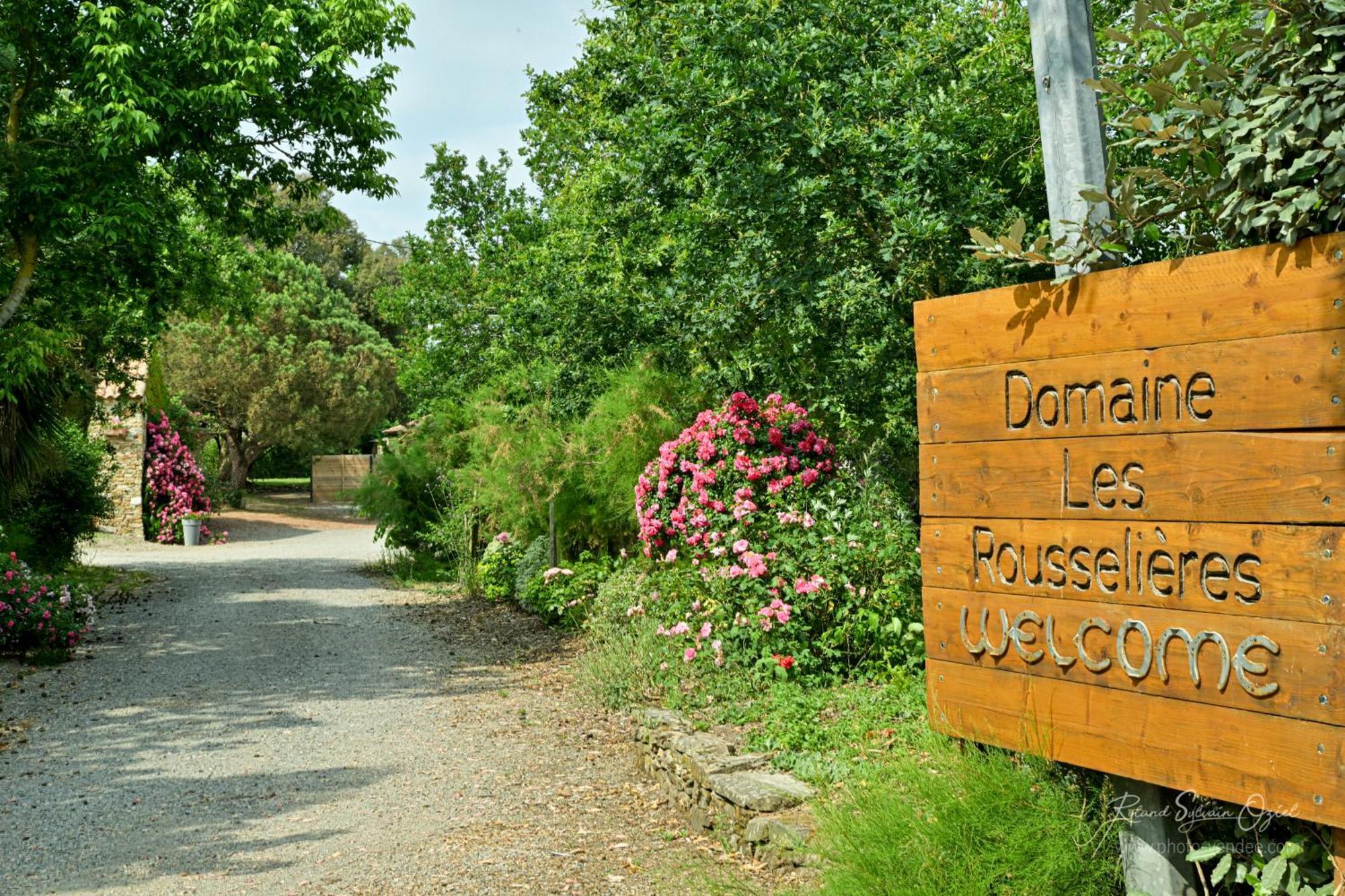 Вілла Domaine Les Rousselieres Олон-сюр-Мер Екстер'єр фото